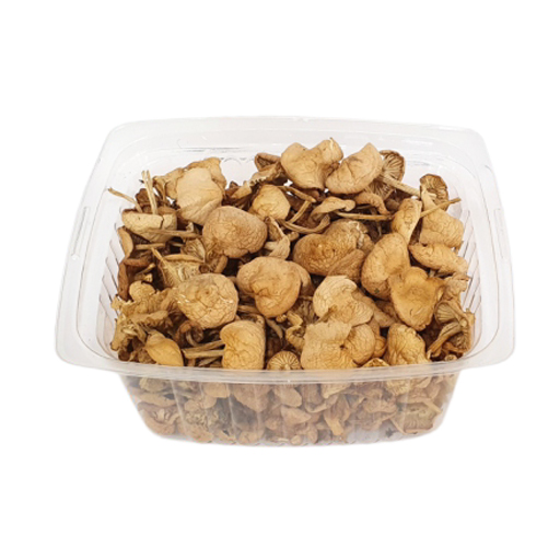 Dried Forest Mushroom, 15g
