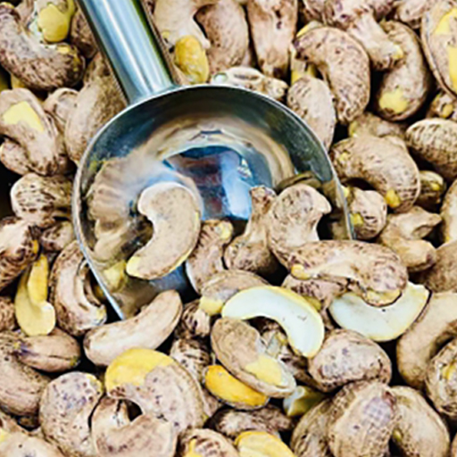 Roasted Cashews with Skin and Sea Salt