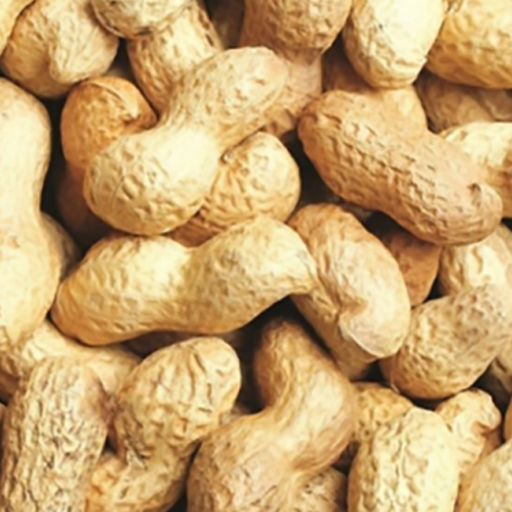 Roasted Peanuts in Shell