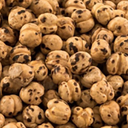 Roasted Leblebi without Salt