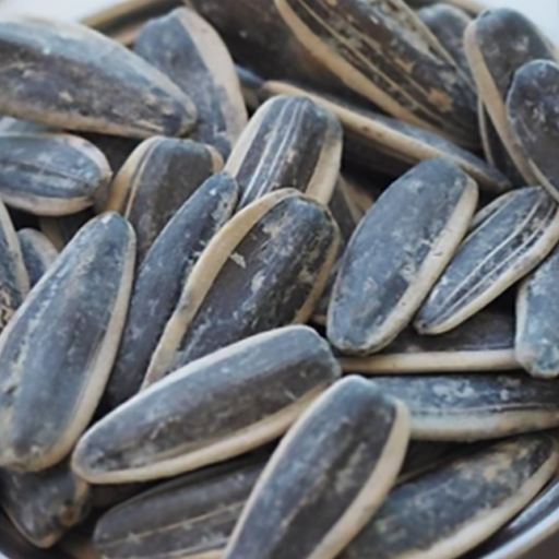 Roasted Striped Sunflower Seeds