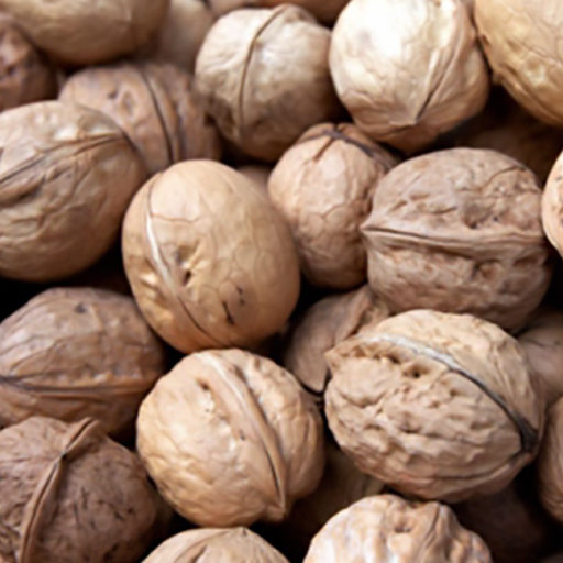 Whole Walnuts in Shell (Bulk)