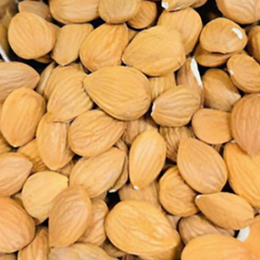 Bulgarian Apricot Kernel – Bitter