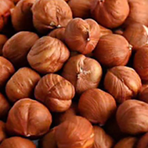 Raw Hazelnuts