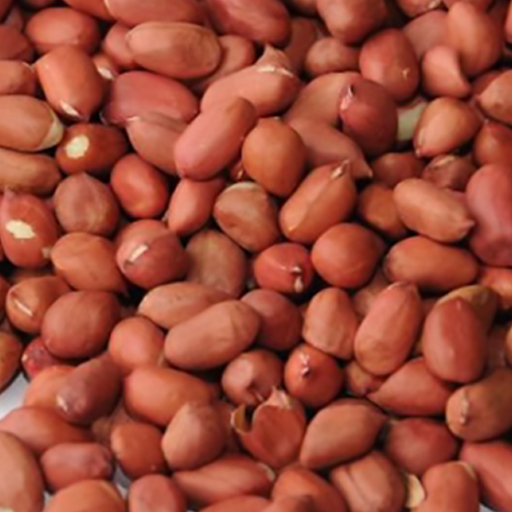 Raw Peanuts