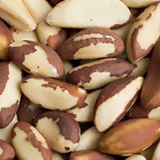 Raw Brazil Nuts