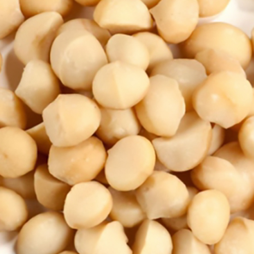 Macadamia Nuts