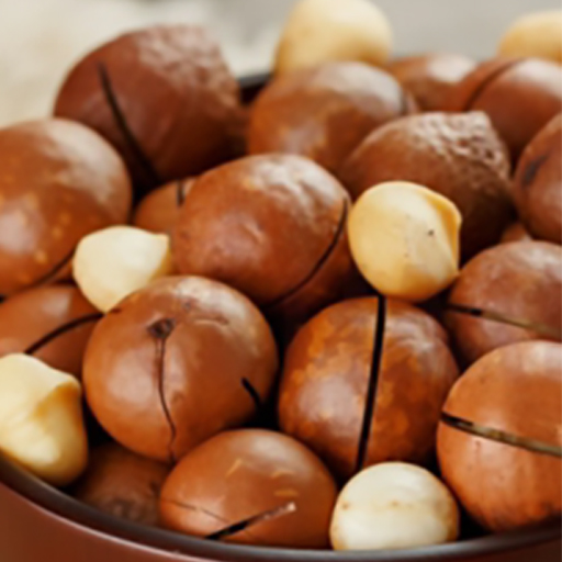 Macadamia Premium