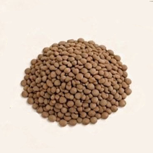 Lentils