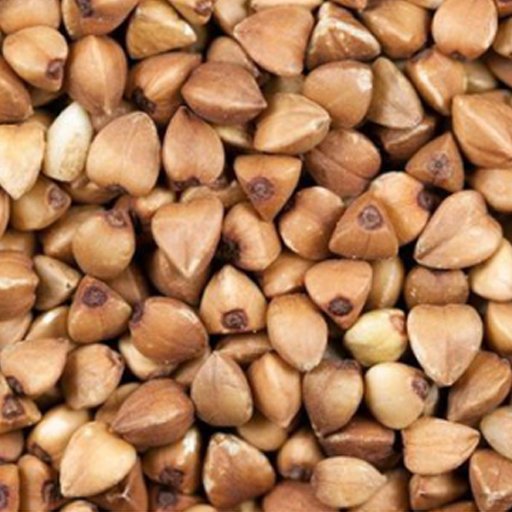 Buckwheat