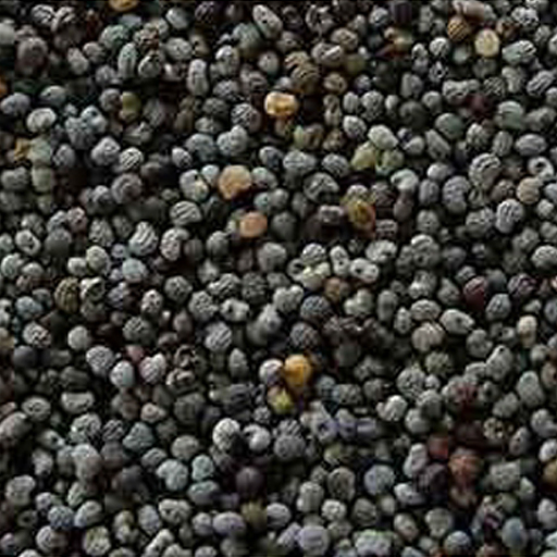 Poppy Seeds